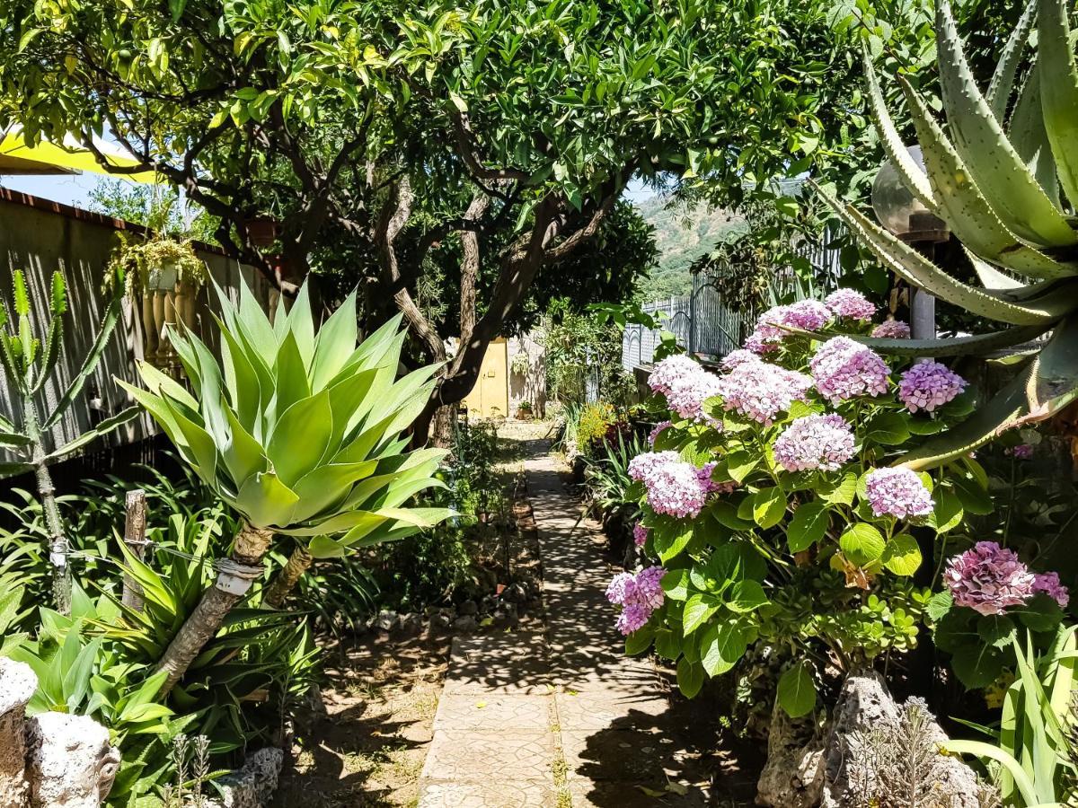 Villa Laria Tropea Zewnętrze zdjęcie