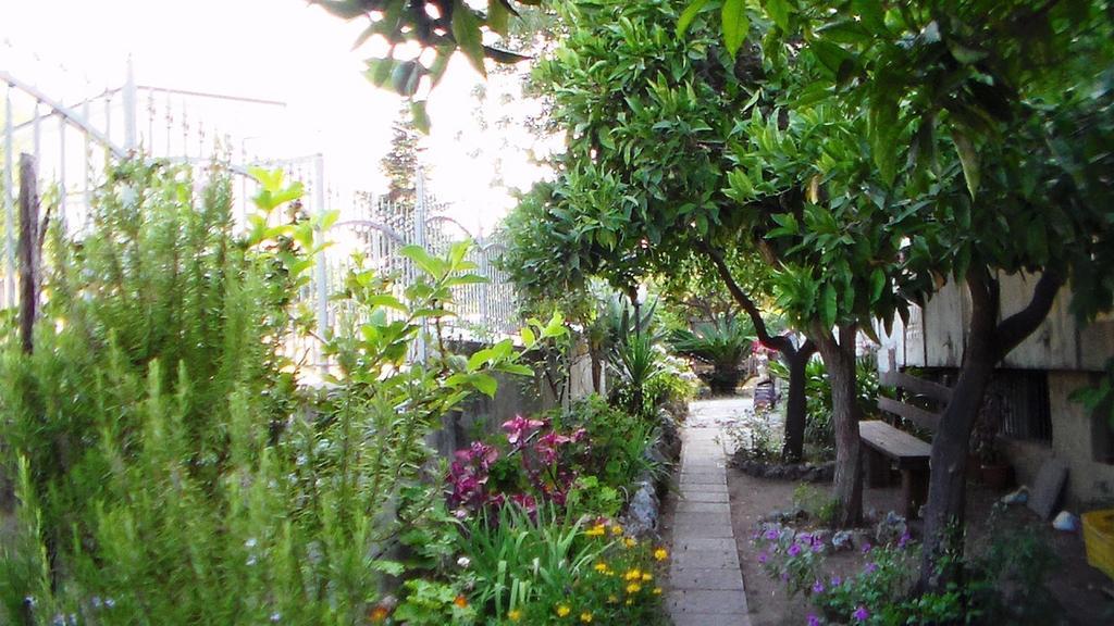 Villa Laria Tropea Zewnętrze zdjęcie